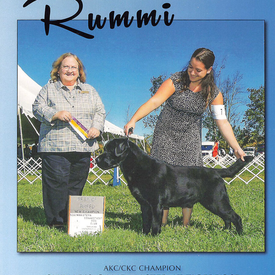 rummi-1