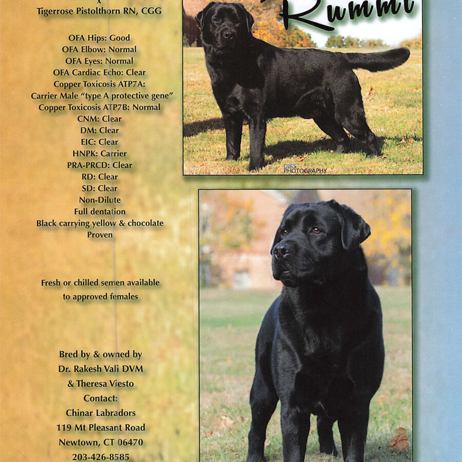 rummi-2